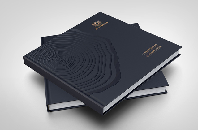 森源 | 畫冊策劃設(shè)計